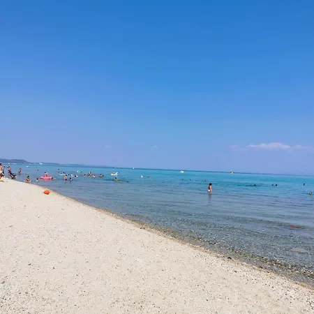 Purple_rose_apartment *